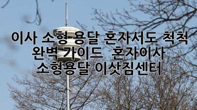 이사 소형 용달 혼자서도 척척! 완벽 가이드 ✨ #혼자이사 #소형용달 #이삿짐센터
