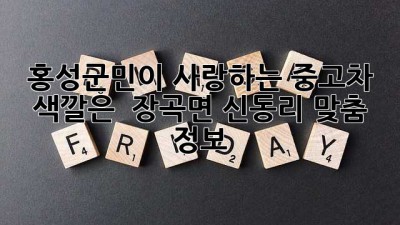 🚗 홍성군민이 사랑하는 중고차 색깔은? ✨ 장곡면 신동리 맞춤 정보!