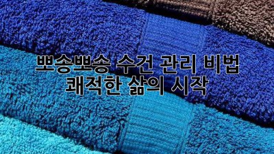 뽀송뽀송 수건 관리 비법: 쾌적한 삶의 시작